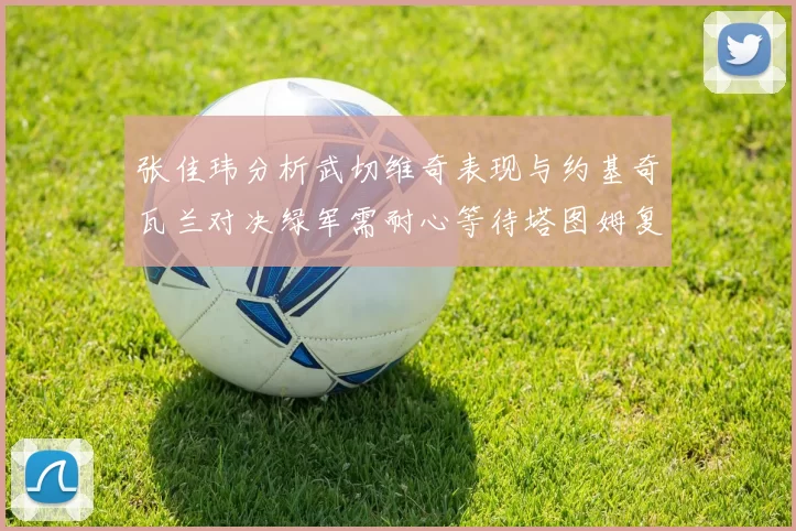 张佳玮分析武切维奇表现与约基奇瓦兰对决绿军需耐心等待塔图姆复出